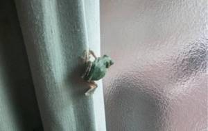 かくれんぼ?君は可愛い、僕は君が - 真鍋哲地