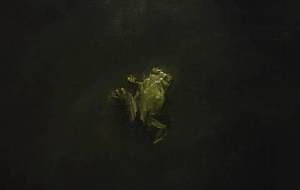 (恋歌蛙)自然の悲鳴歌 - 真鍋哲地