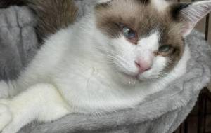 ハンモックの中ののんちゃん - うっち