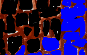 迷路生き物 - 笹谷正博