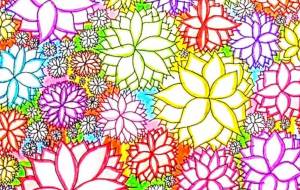 IN FULL BLOOM - 入江拓也