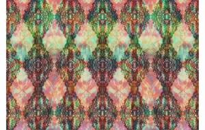 チート - しょも