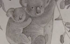 コアラの親子 - 伊藤恵美里