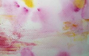 「桜とコスモスが咲く頃に」 - サオリ