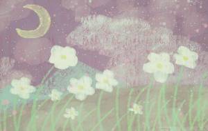 ★ - ウスイリエ