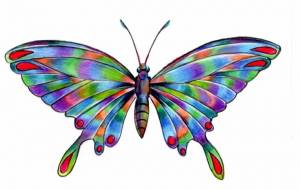 蝶々 - 田寺 誠人