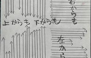やり - 名もなき米3号