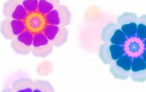 ふんわりフラワー - しずく