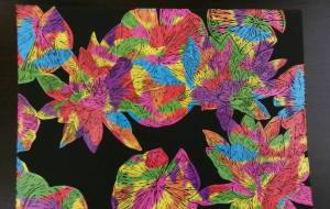 睡蓮純化 - 明紅葉