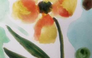 「夏の花」 - サオリ