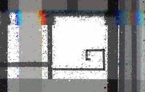 スネイル - wasabi