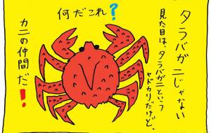 偽物 - 工房はんど yu-ma