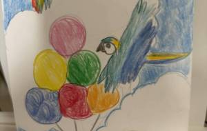 コンゴウインコさんとなつの空を - Yoshi