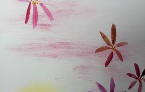 「故郷の川送りの小菊たちに導かれて」 - サオリ