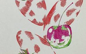 カケアミフルーツセット - 橘 木竜