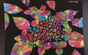 葉影三様 - 明紅葉