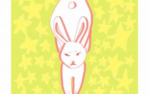 星とうさぎ - shiraume888