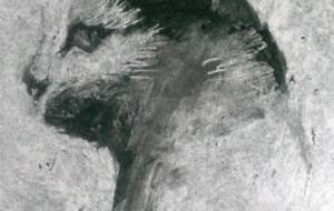 仔猫の愛(病気の少年の友達) - 真鍋哲地