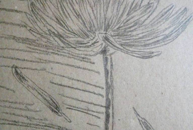 「真夜中のお昼に」 - サオリ 