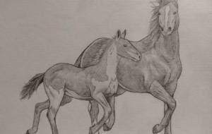 馬の親子 - 伊藤恵美里