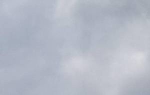 投稿正直?最近?グッと減りました - 真鍋哲地