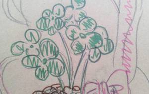 「クローバー」 - サオリ