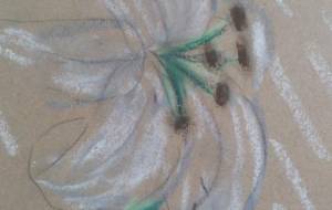 「神聖な祈り」 - サオリ