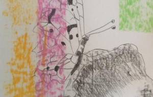 「命のかぜ」 - サオリ