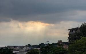 光のカーテン - 宇宙くらげ