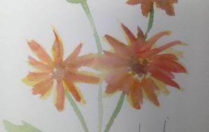 「賑やかな小菊」 - サオリ