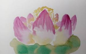 「エナジー」 - サオリ