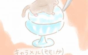 キャラメルかき氷 - まかろんちゃん
