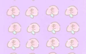 モモ - まかろんちゃん