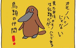 そっくり - 工房はんど yu-ma