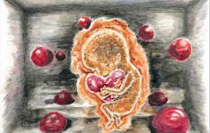 インナーチャイルド - 【イベント】第2期 Just In Time Best Action「まごころプロジェクト」