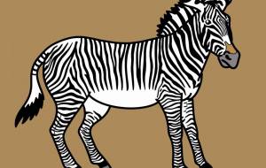 グレビーシマウマ - シマハイエナ