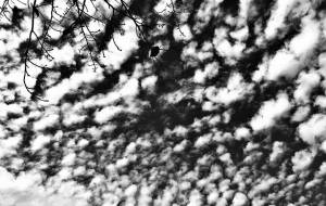 境界線 - 橋詰 聡