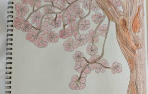 すぷりんぐ - まる