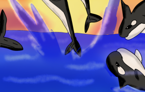 シャチと夕日 - ましゅまろまかろん