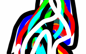 サラ - 笹谷正博