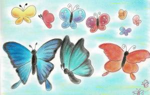 ひらひらなちょうちょ - naomi