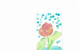 ハスの花 - naomi