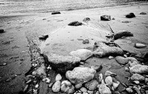 その先に - 橋詰 聡