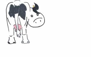 振り向き牛 - 小萩