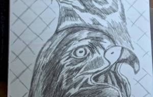 はばたく - 【イベント】第2期 Just In Time Best Action「まごころプロジェクト」