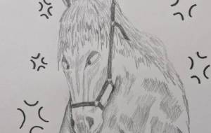 アタ馬に来た② - BABさんBABY