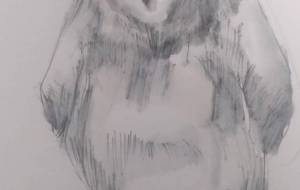 インコ - 原 学志