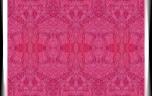 『桃姫』 - しょも