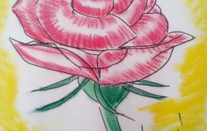 「純愛」 - サオリ