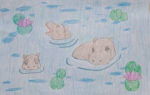 かばの水遊び - 聖羽SEIHA